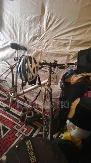 Mount Bicycle