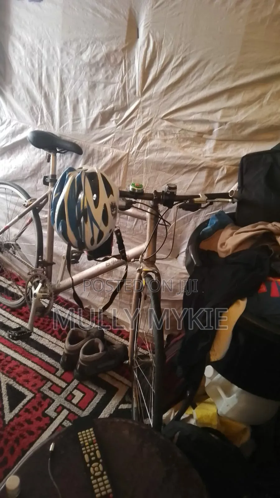Mount Bicycle