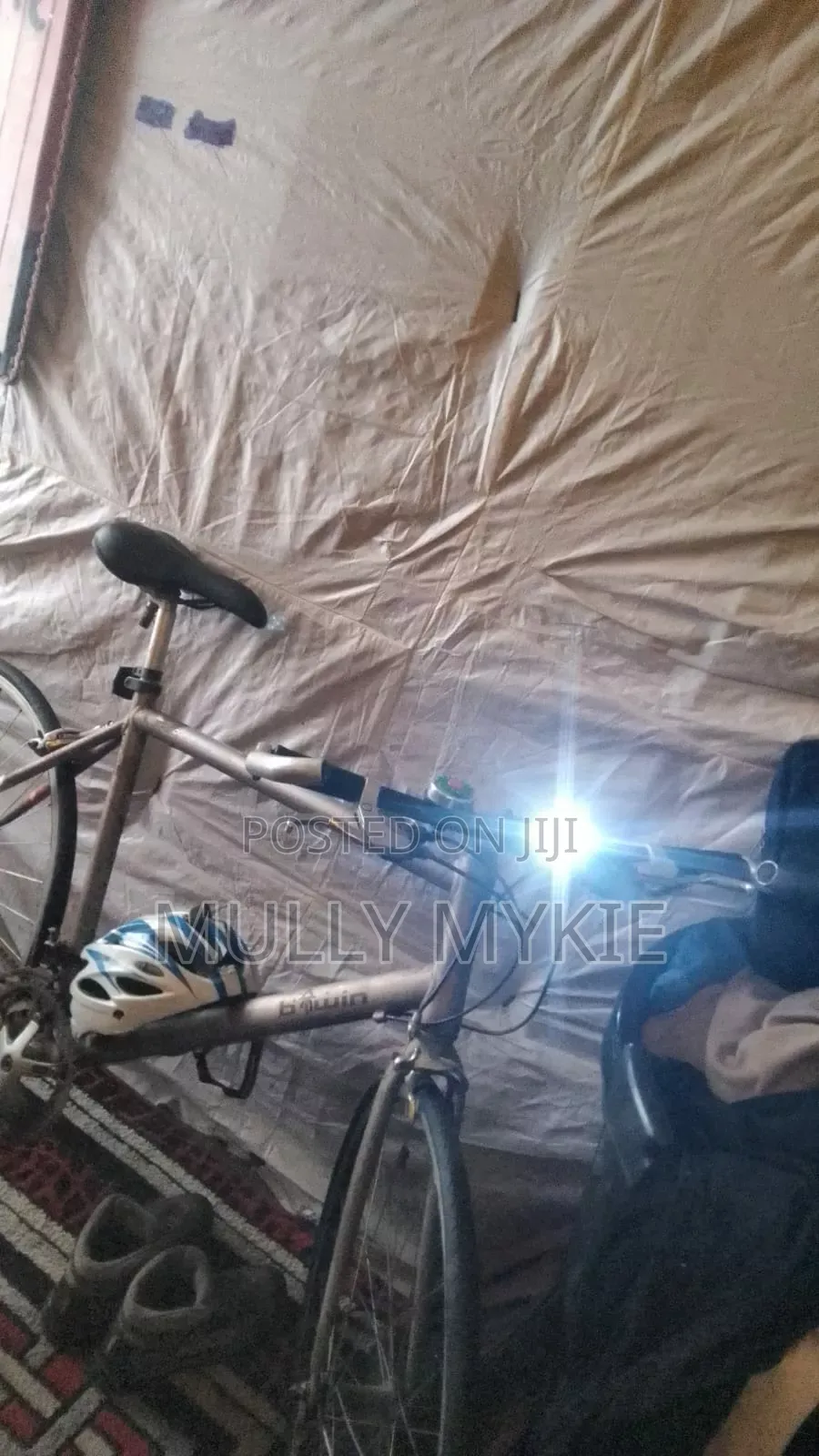 Mount Bicycle