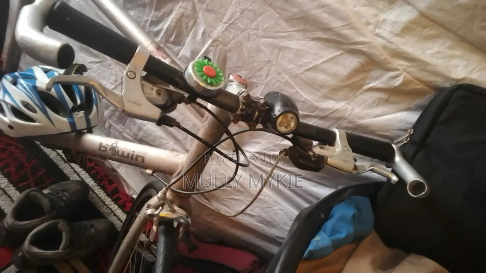 Mount Bicycle