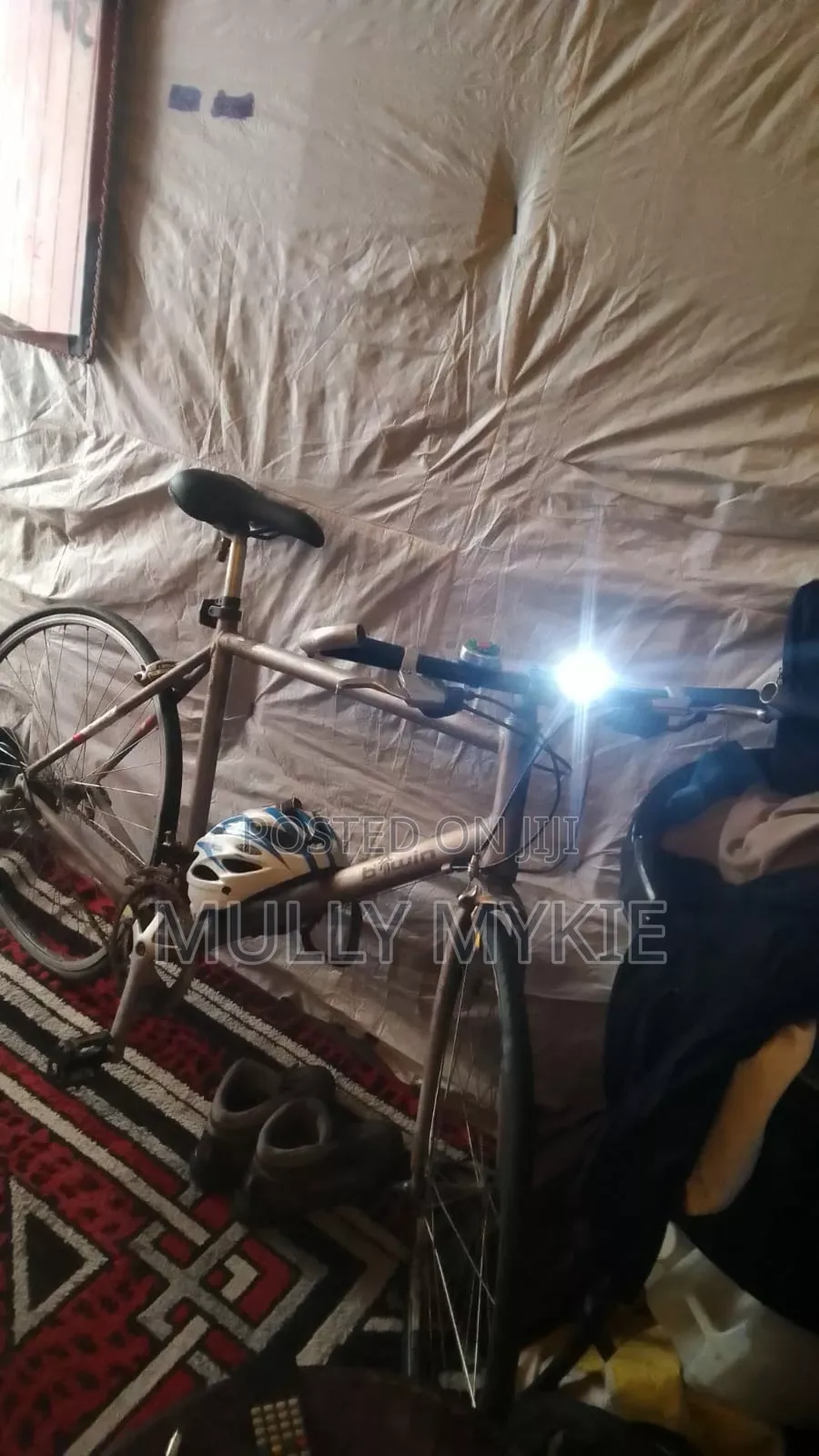 Mount Bicycle