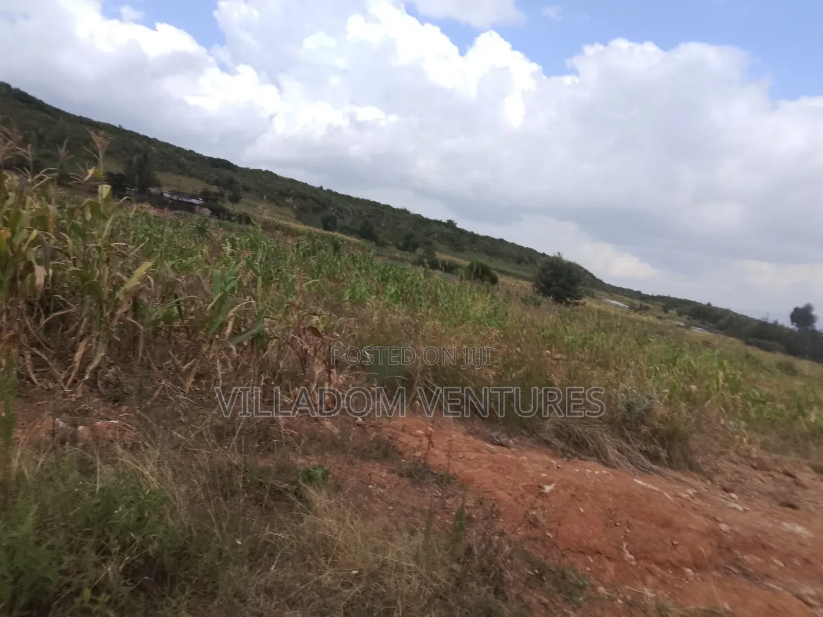 For Quick Sale 50/100 Plot in Gilgil Very Strategically Located