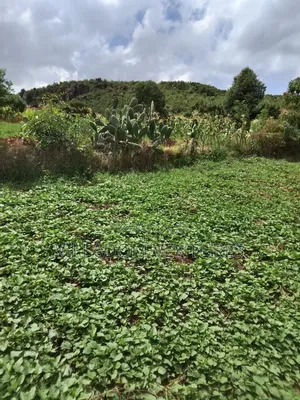 For Quick Sale 50/100 Plot in Gilgil Very Strategically Located
