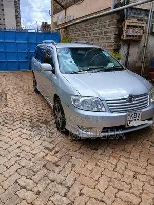 Toyota Corolla Fielder 2006 Silver