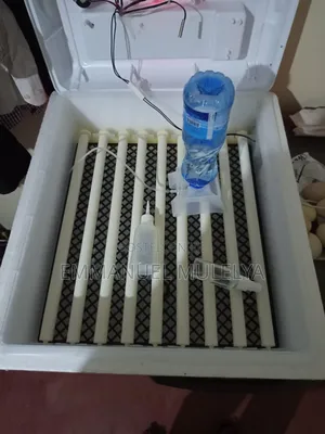 Automatic Egg Incubator for Sale