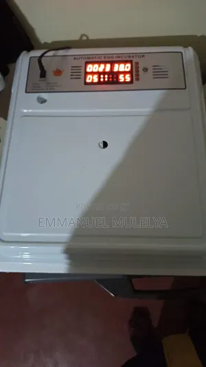 Automatic Egg Incubator for Sale