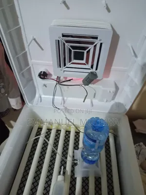 Automatic Egg Incubator for Sale