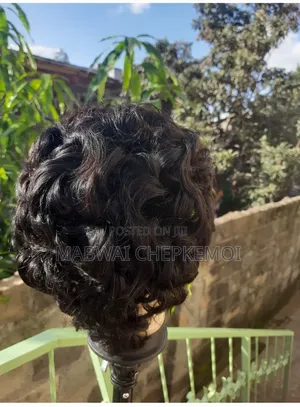 Pixie Layers Wig