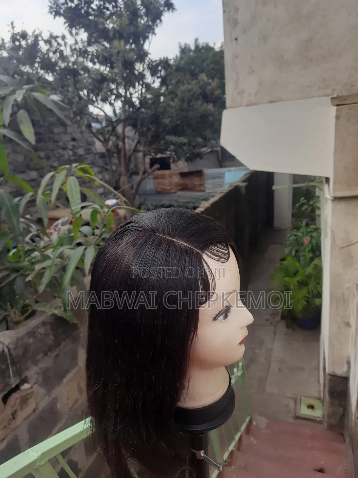 Human Hair Wig
