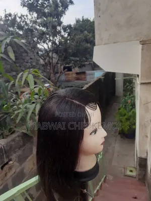 Human Hair Wig
