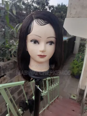 Human Hair Wig