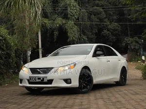 Toyota Mark X 2011 White