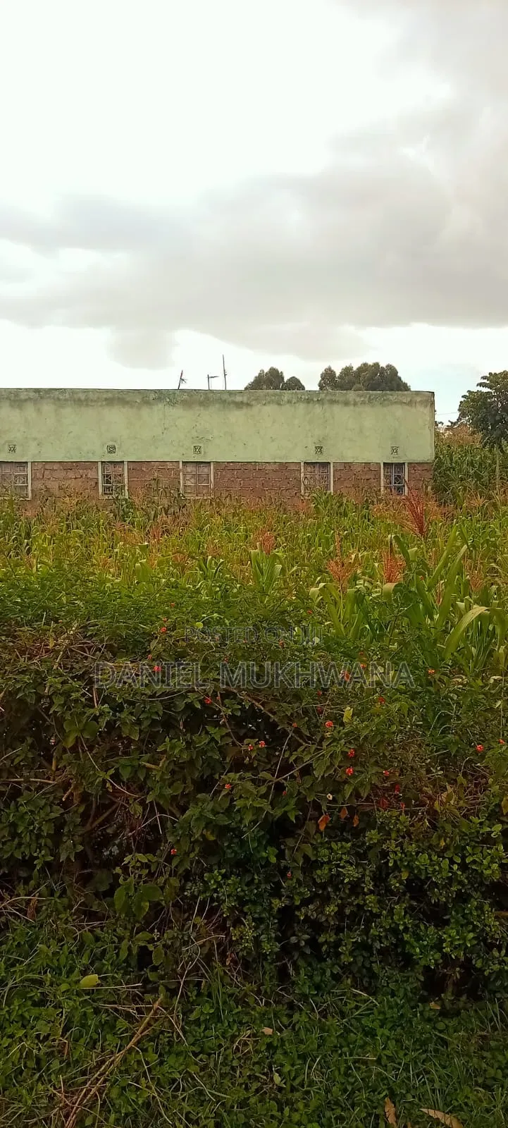 Prime Plot At Norec Kitale
