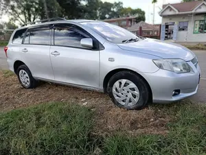 Toyota Corolla Fielder 2010 Silver
