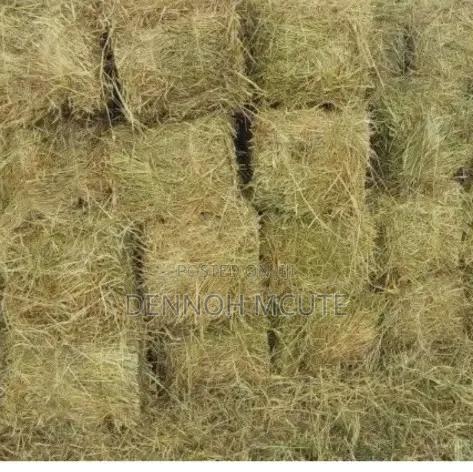 Hay Available in Large Scale Delivery Done Country Wide