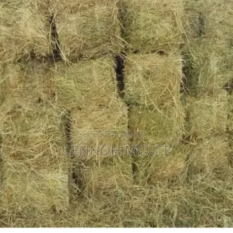 Hay Available in Large Scale Delivery Done Country Wide