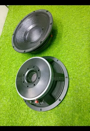 Pd 1880 Top Quality Naked Bass Speaker