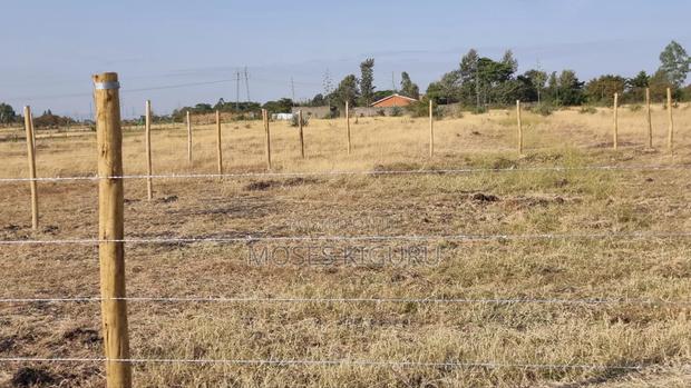Jujafarm, Kwamurage, 50x100 Plots.