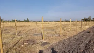 Jujafarm, Kwamurage, 50x100 Plots.