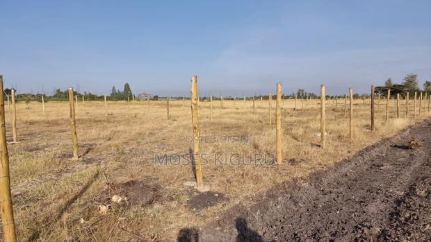Jujafarm, Kwamurage, 50x100 Plots. - thumbnail 2