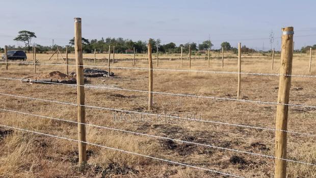 Jujafarm, Kwamurage, 50x100 Plots. - thumbnail 3