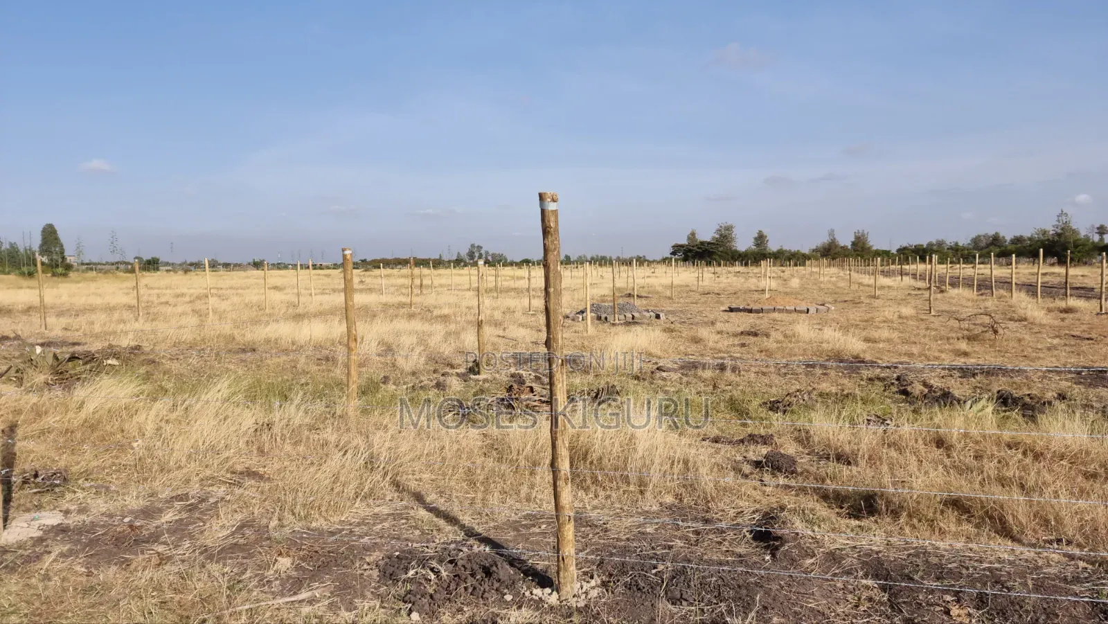Jujafarm, Kwamurage, 50x100 Plots.