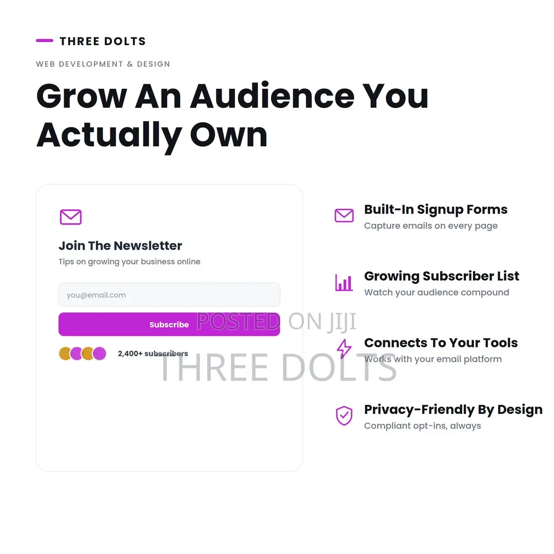 Email Newsletter Signup Website Design | Build Your List