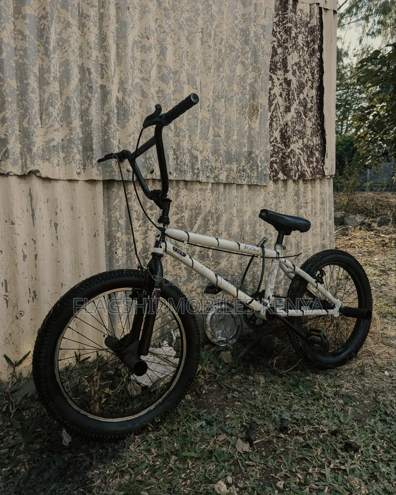 BMX 20inches