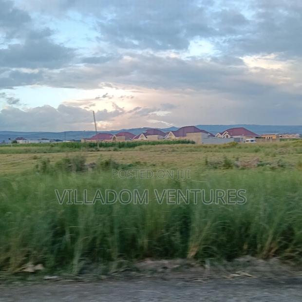 For Sale 1/4 Acre Plot Ideal for Development of a Home - thumbnail 2