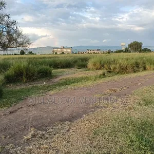 For Sale 1/4 Acre Plot Ideal for Development of a Home