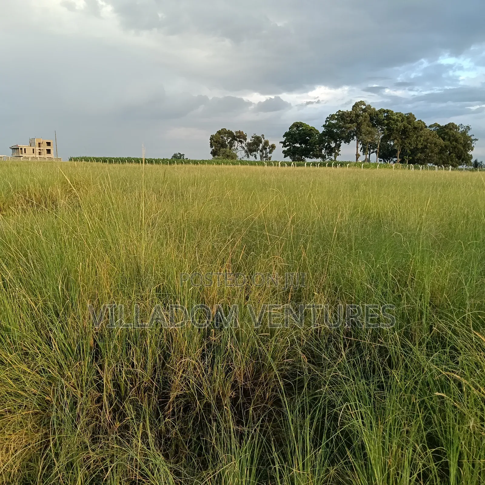 For Sale 1/4 Acre Plot Ideal for Development of a Home