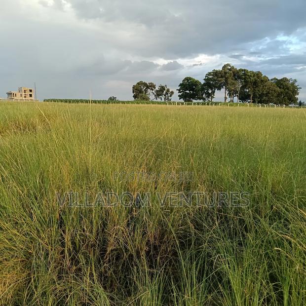 For Sale 1/4 Acre Plot Ideal for Development of a Home - thumbnail 6