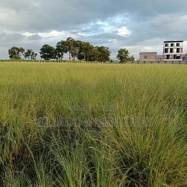 For Sale 1/4 Acre Plot Ideal for Development of a Home - thumbnail 7