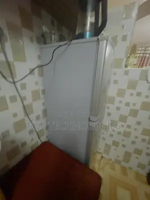 168l Fridge