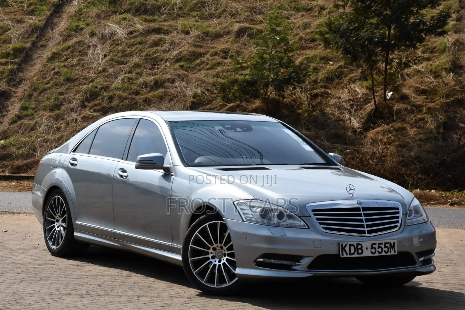 Mercedes-Benz S-Class S 350 BlueTEC 4MATIC (W222) 2014 Silver