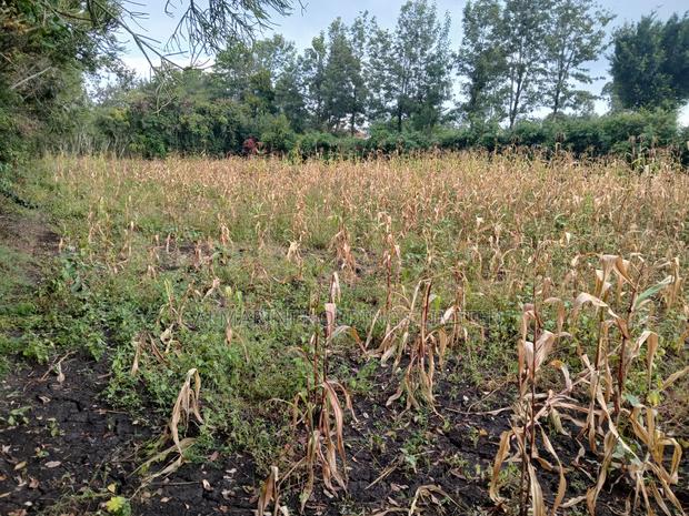 0.15ha (3/8 Acre) Touching Matasia-Merisho Tarmac, Karen-View