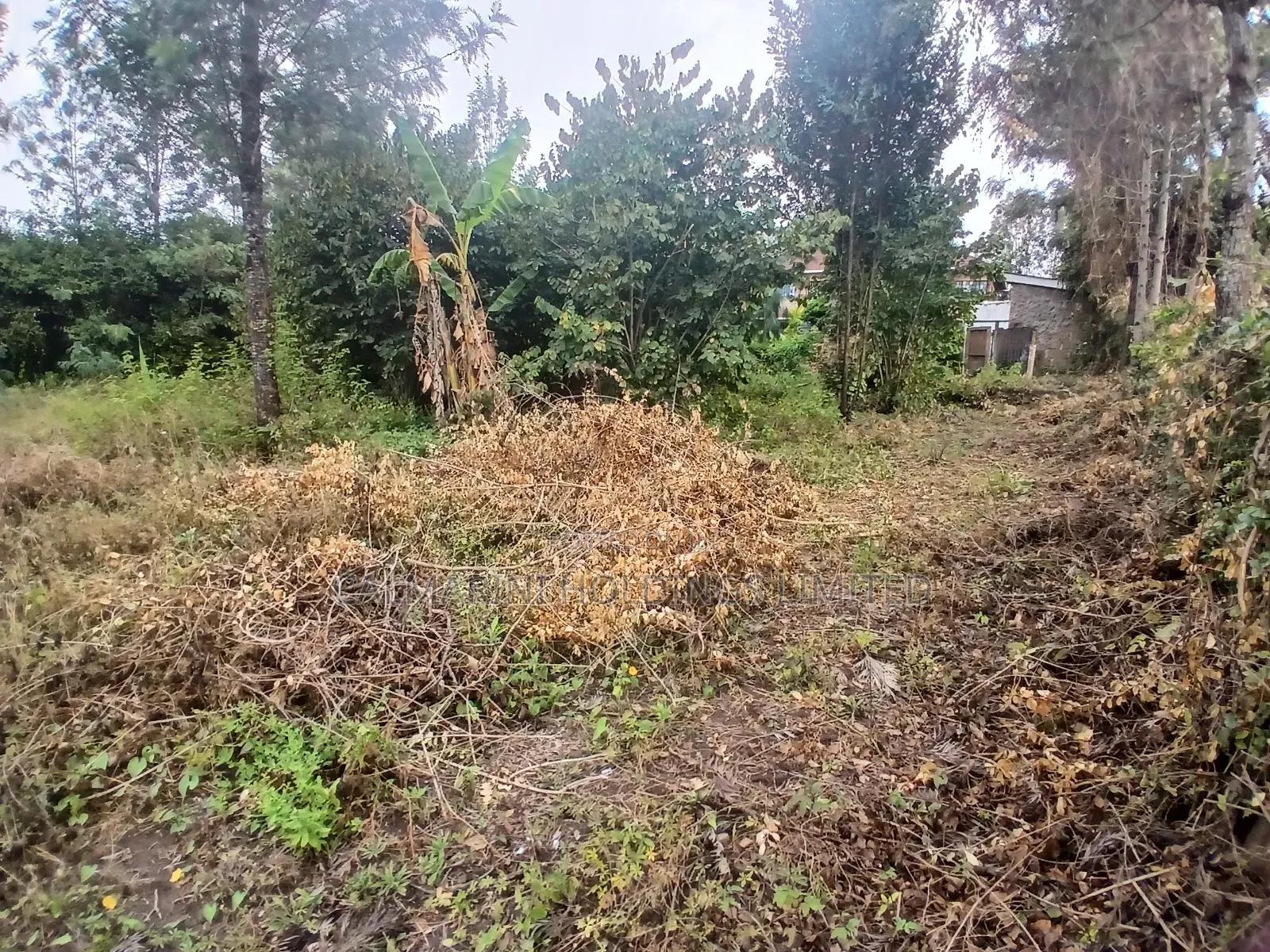 Prime Full 100 by 100 Plot in Karen View Matasia 150 Metres Off Tarmac
