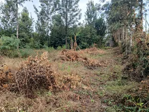 Prime Full 100 by 100 Plot in Karen View Matasia 150 Metres Off Tarmac