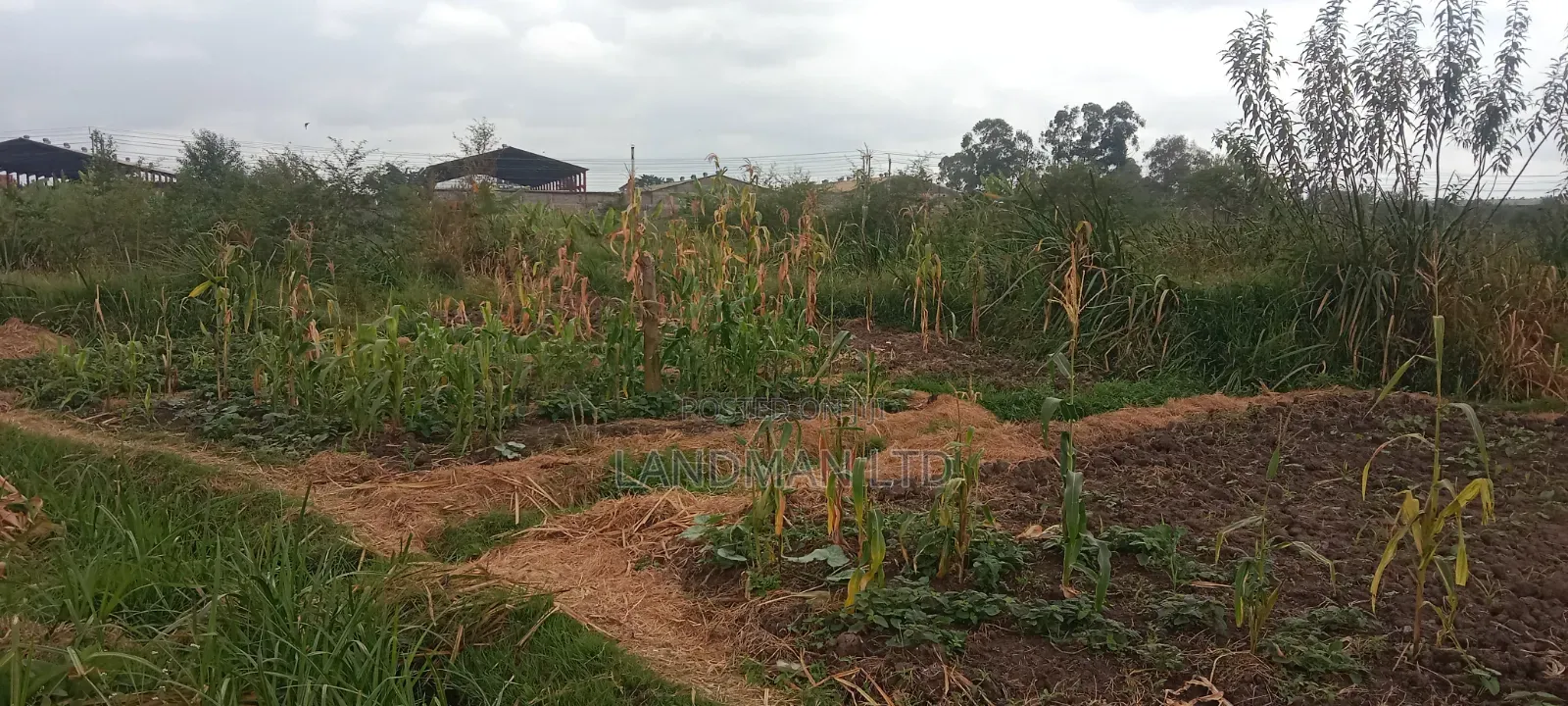 Thika Industrial Land for Sale!