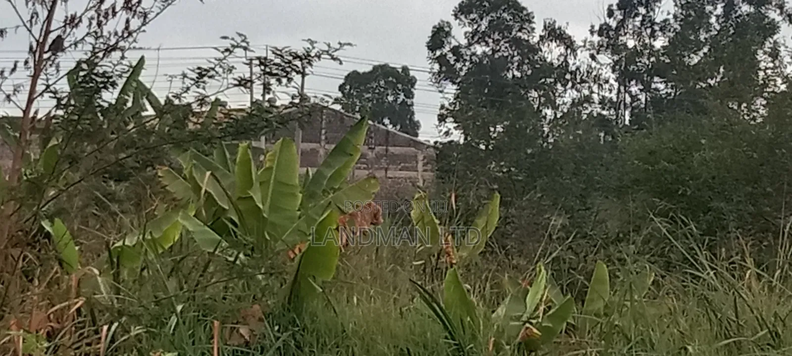 Thika Industrial Land for Sale!
