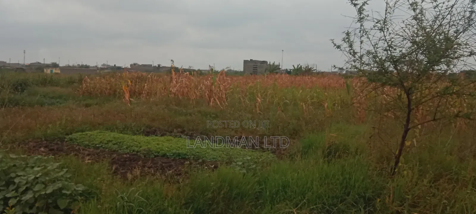 Thika Industrial Land for Sale!