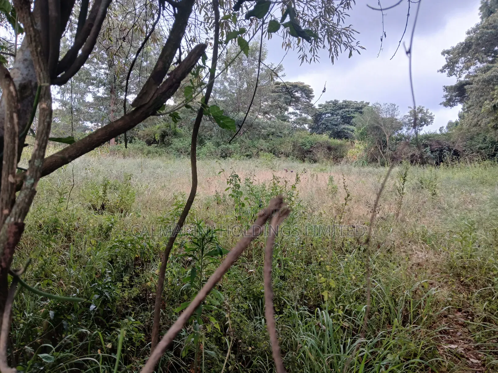 Quick Distress Deal! Eighth Acre Near SGR in Lower Merisho, Matasia