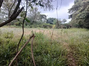 Quick Distress Deal! Eighth Acre Near SGR in Lower Merisho, Matasia