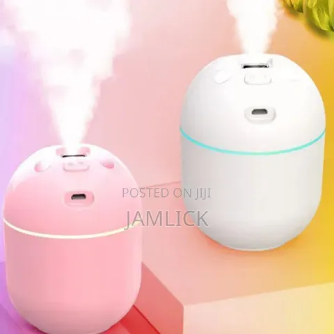 250ml Piggy Air Humidifier – Zy