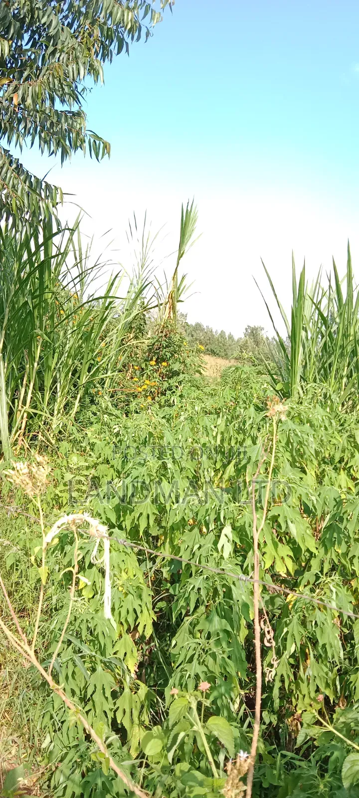 Prime 2acs Farm in Makuyu Muranga