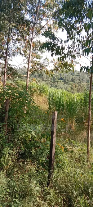 Prime 2acs Farm in Makuyu Muranga