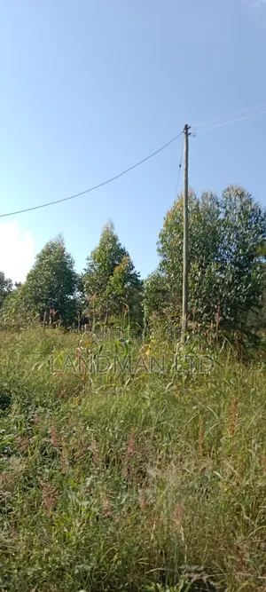Prime 2acs Farm in Makuyu Muranga
