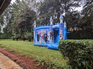 Frozen Medium Size Bouncing Castle on Quick Sale