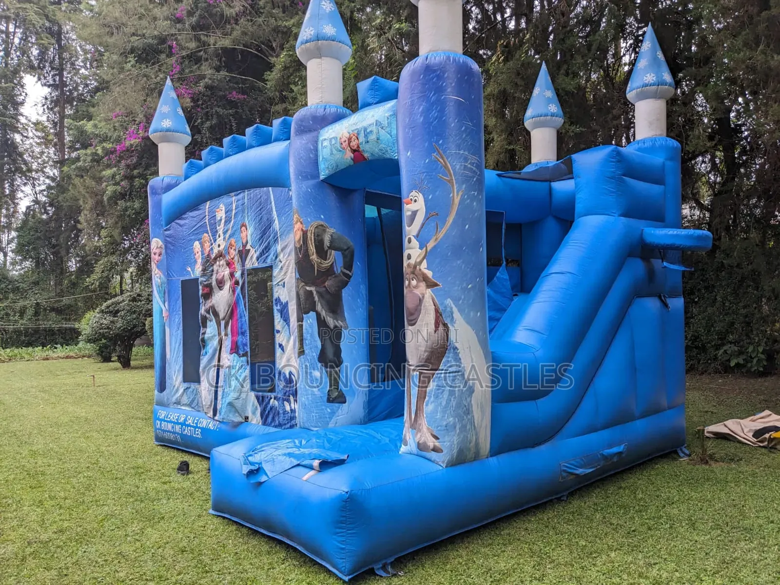Frozen Medium Size Bouncing Castle on Quick Sale