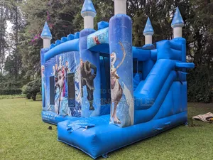 Frozen Medium Size Bouncing Castle on Quick Sale